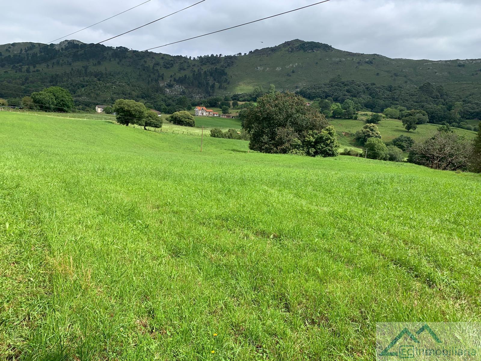 For sale of land in Liérganes
