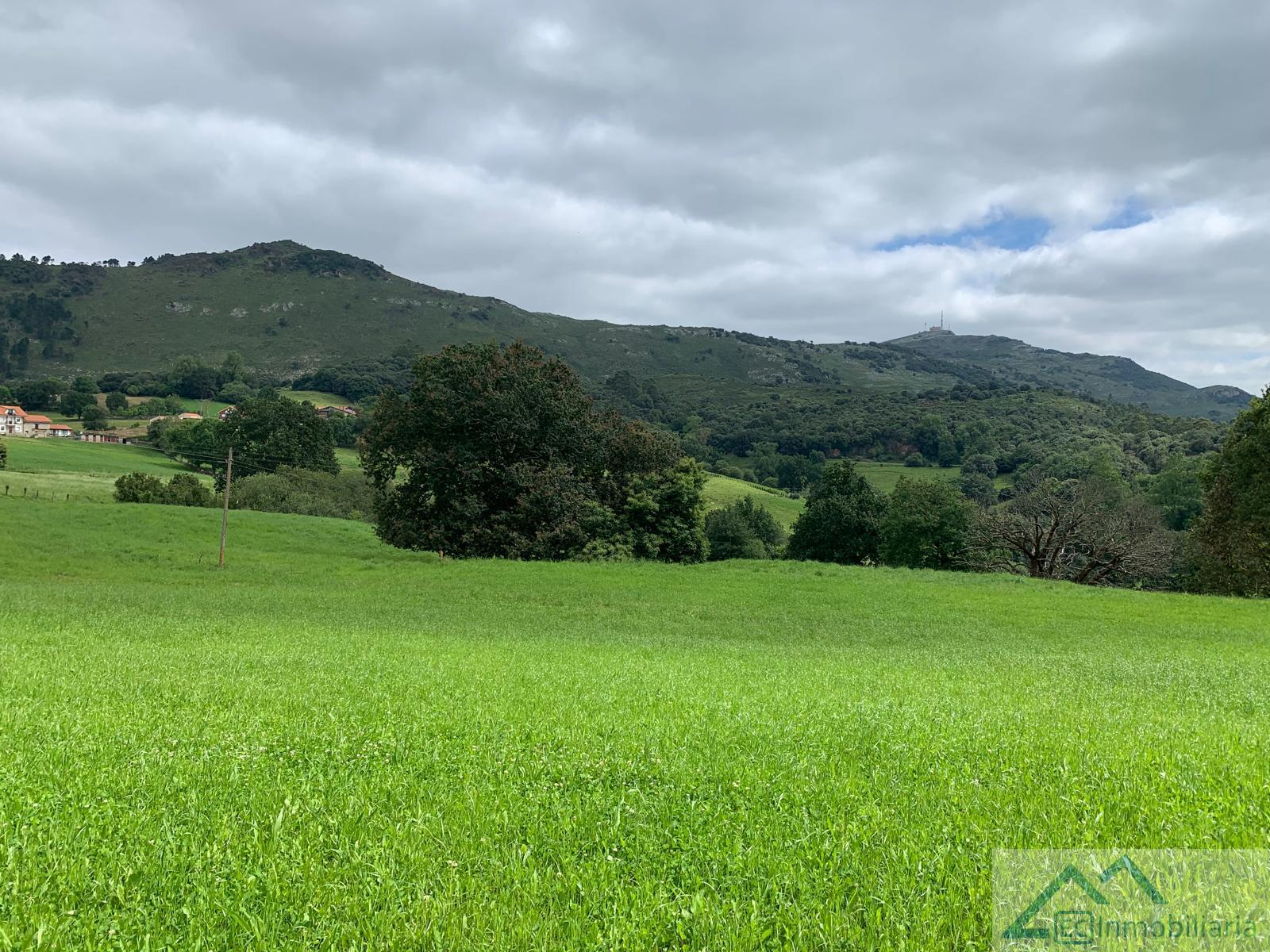 For sale of land in Liérganes