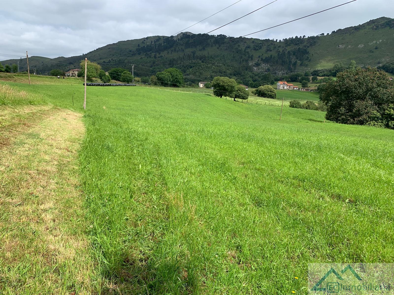 For sale of land in Liérganes