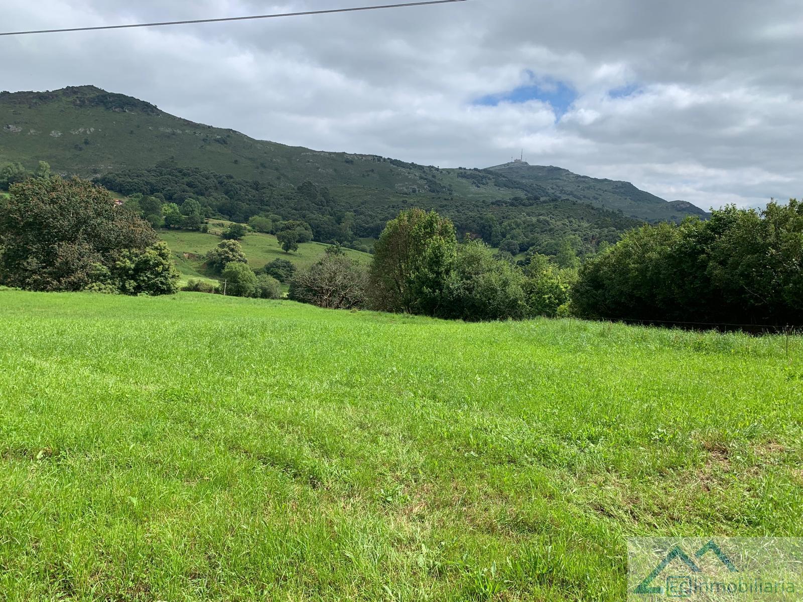 For sale of land in Liérganes