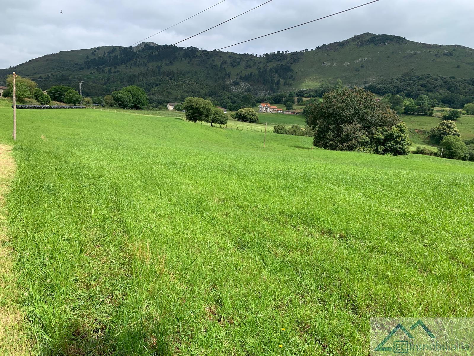 For sale of land in Liérganes