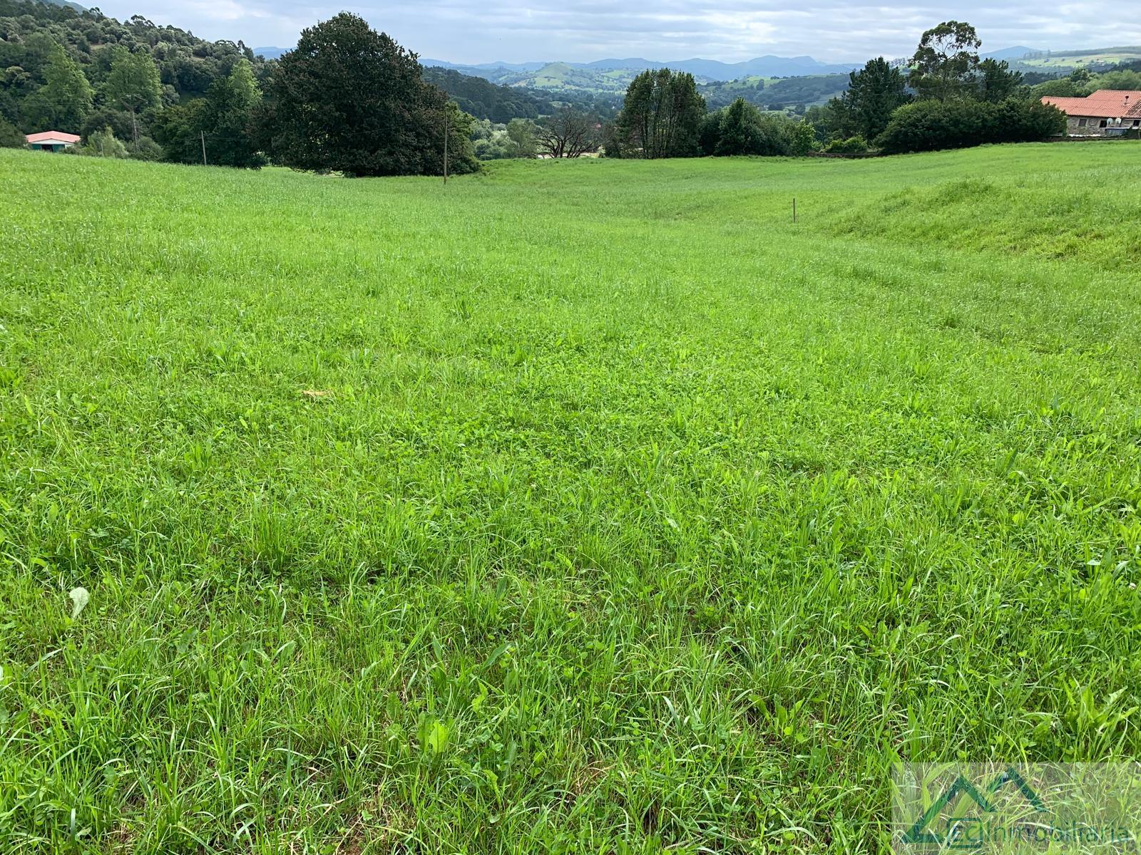 For sale of land in Liérganes
