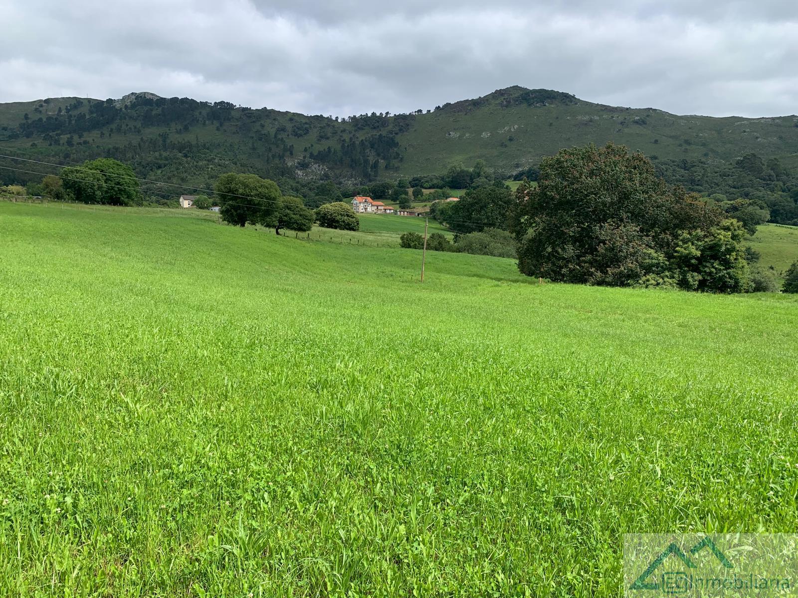For sale of land in Liérganes