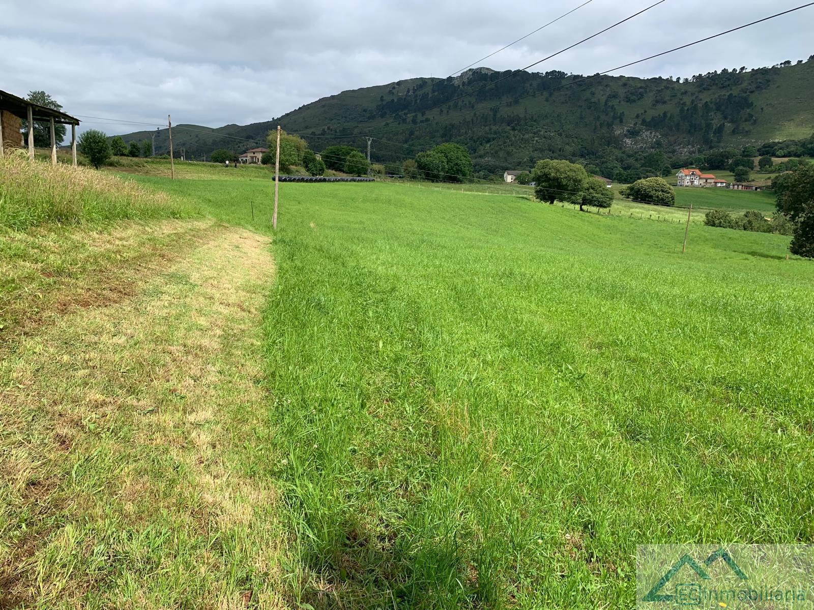 For sale of land in Liérganes