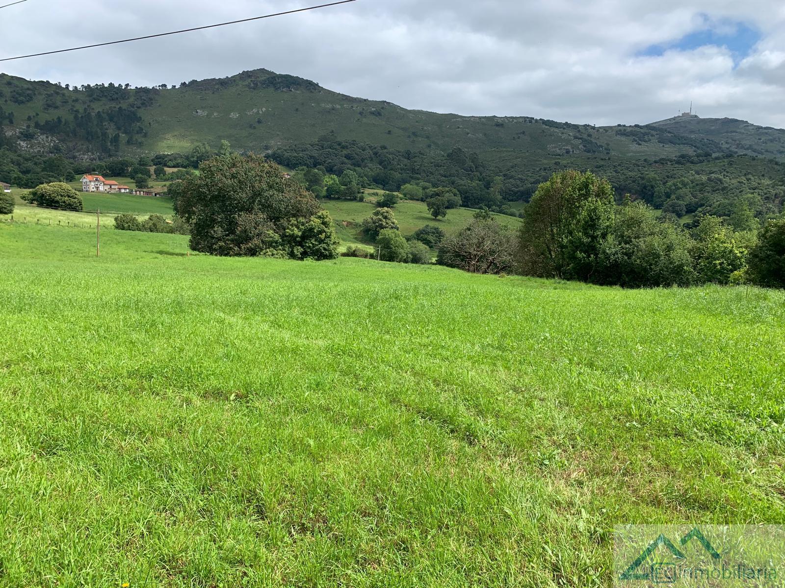 For sale of land in Liérganes