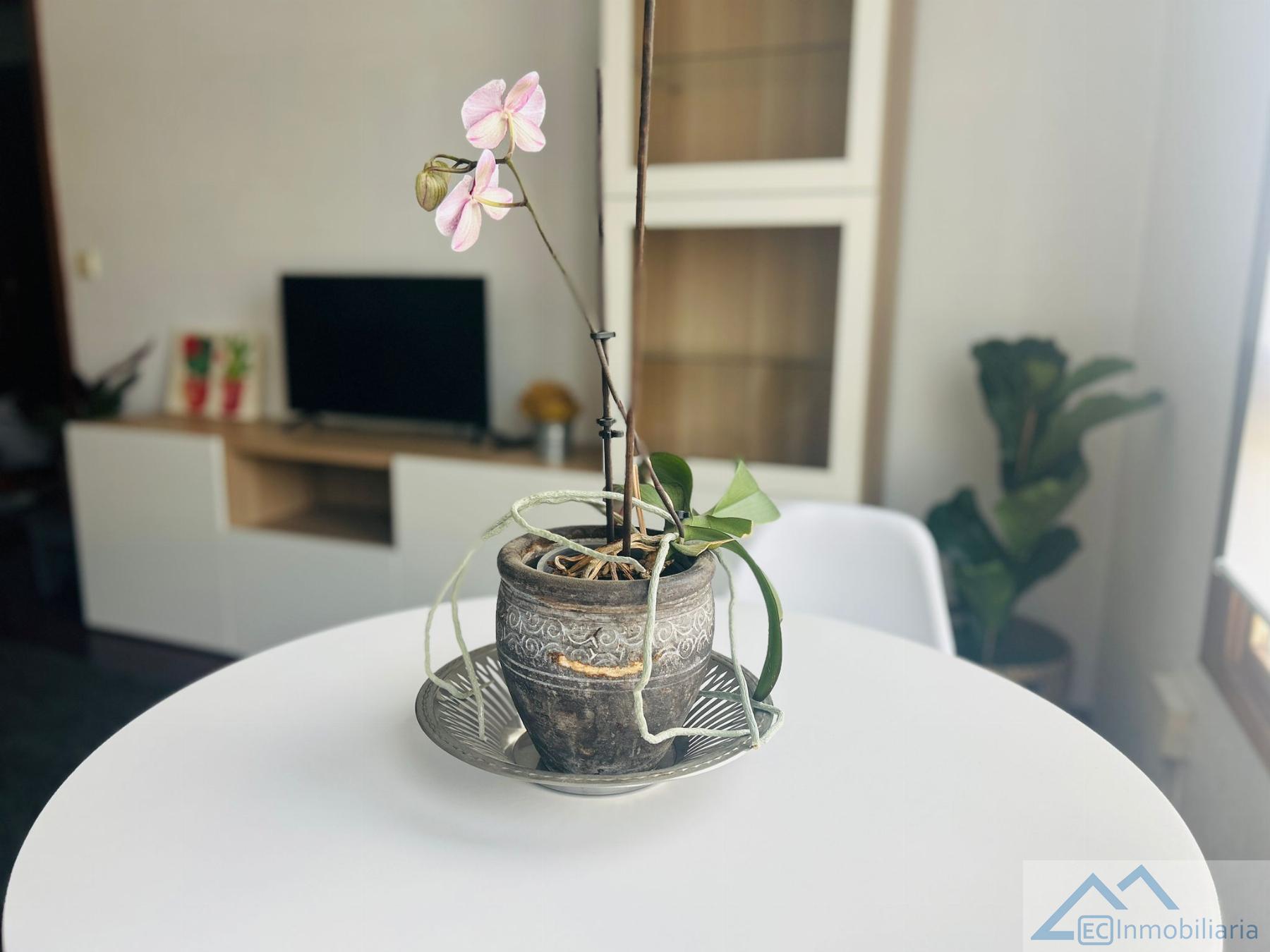 For rent of flat in Santander