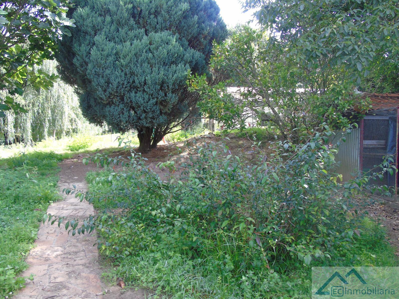 Jardín
