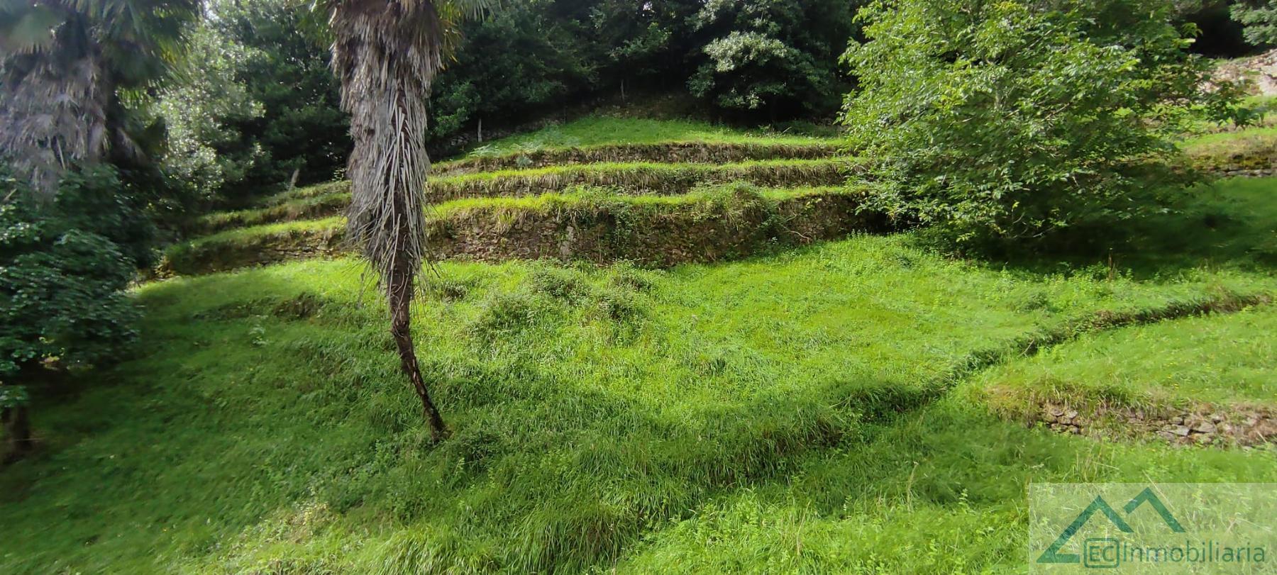 Venta de casa en Corvera de Toranzo Venta de casa en Corvera de Toranzo