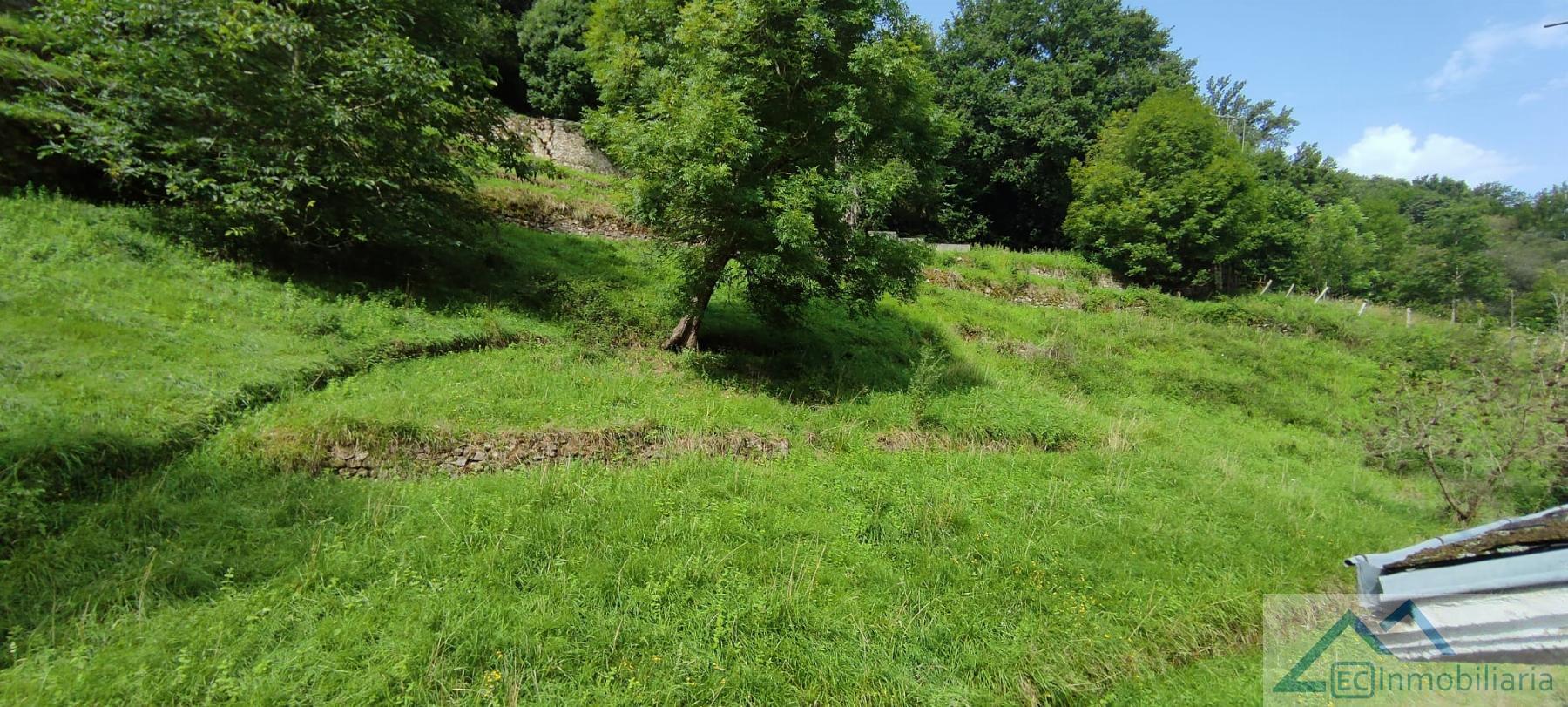 Venta de casa en Corvera de Toranzo Venta de casa en Corvera de Toranzo