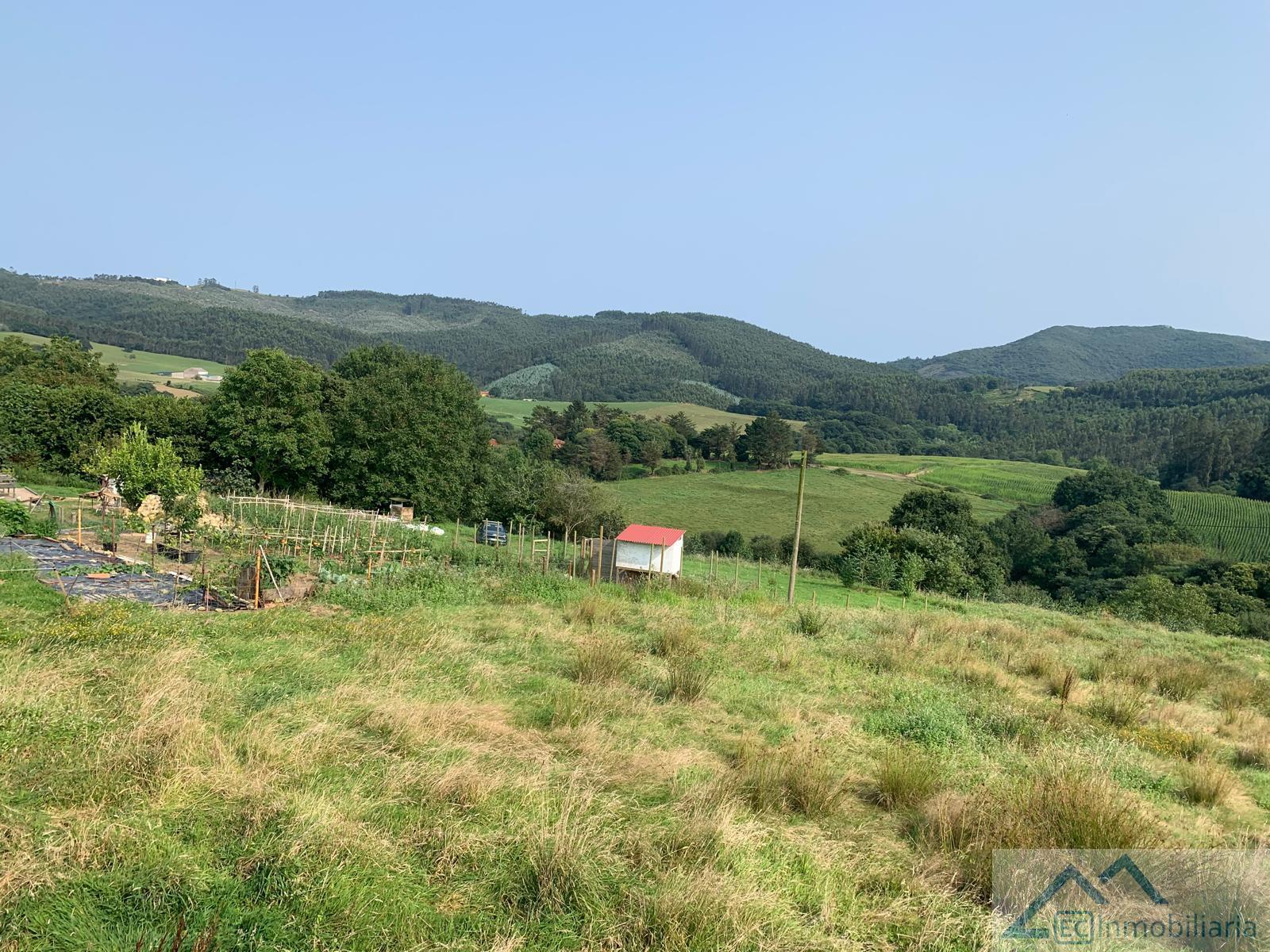 Jardín