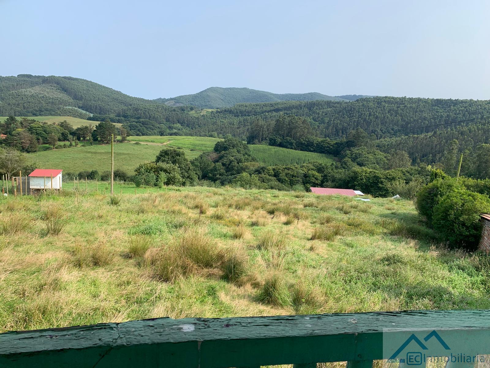 Jardín