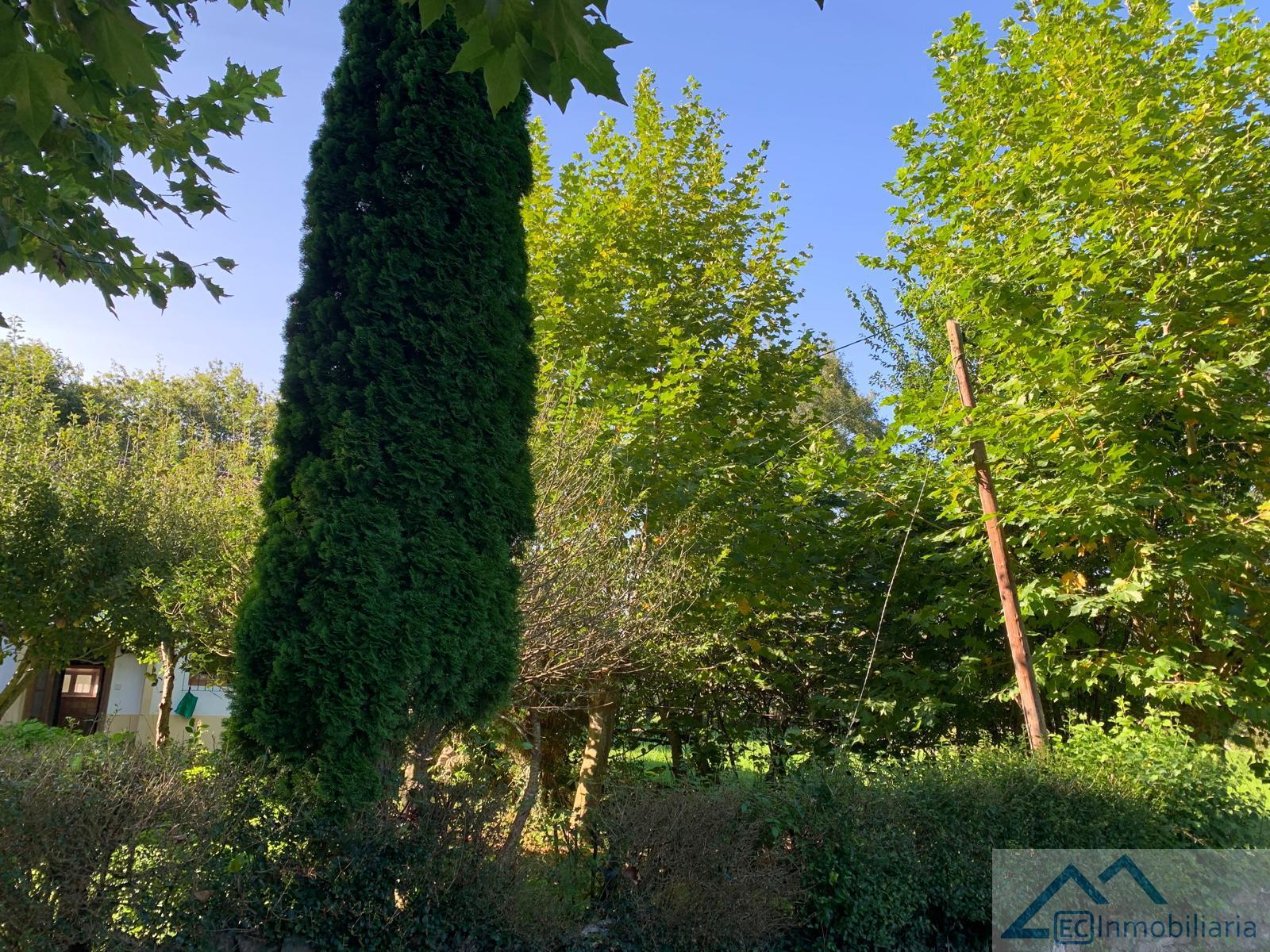 Jardín