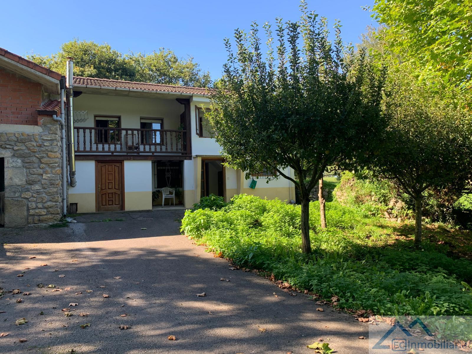 Entrada/Salida Entrada/Salida