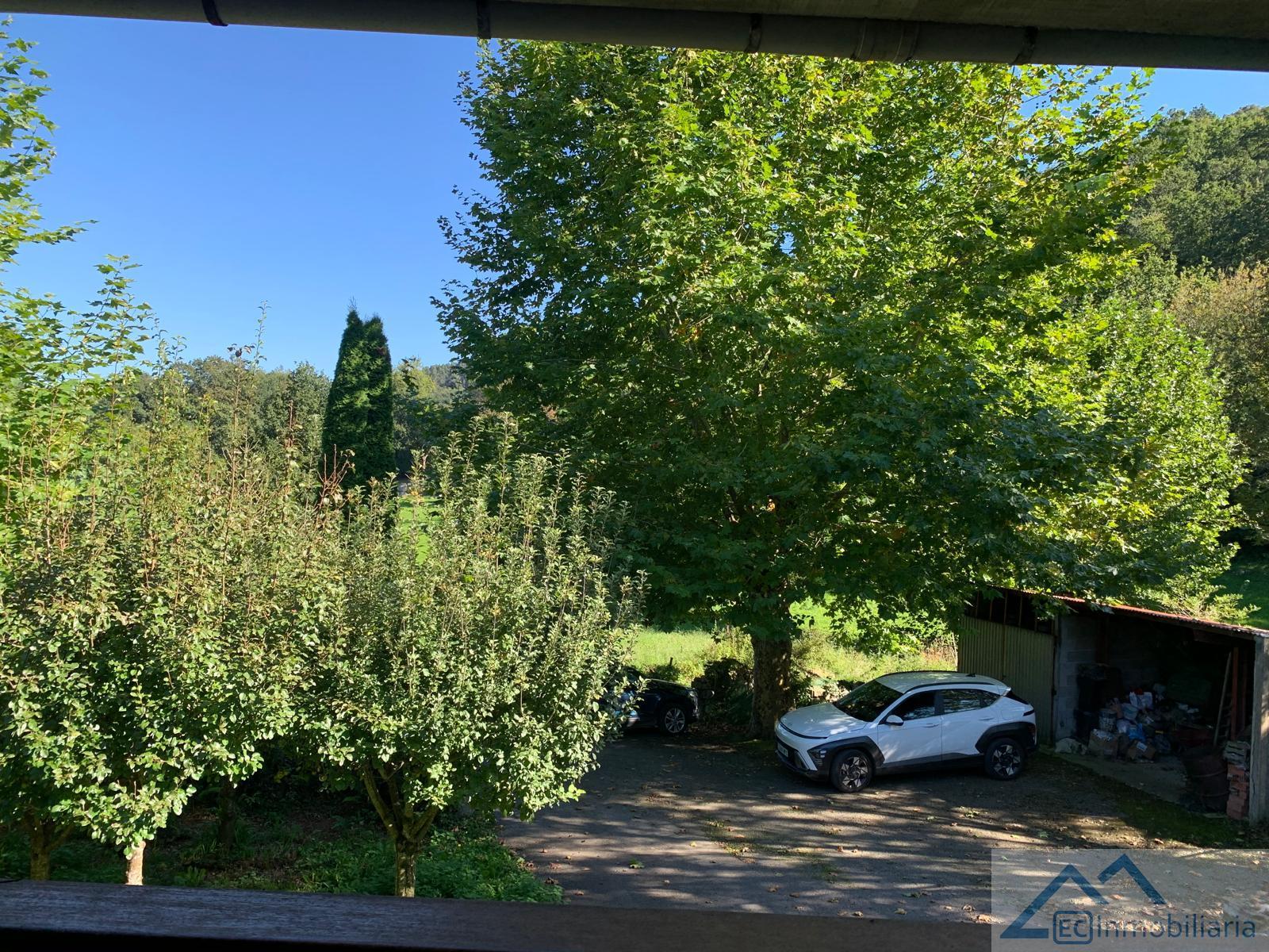 Entrada/Salida Entrada/Salida