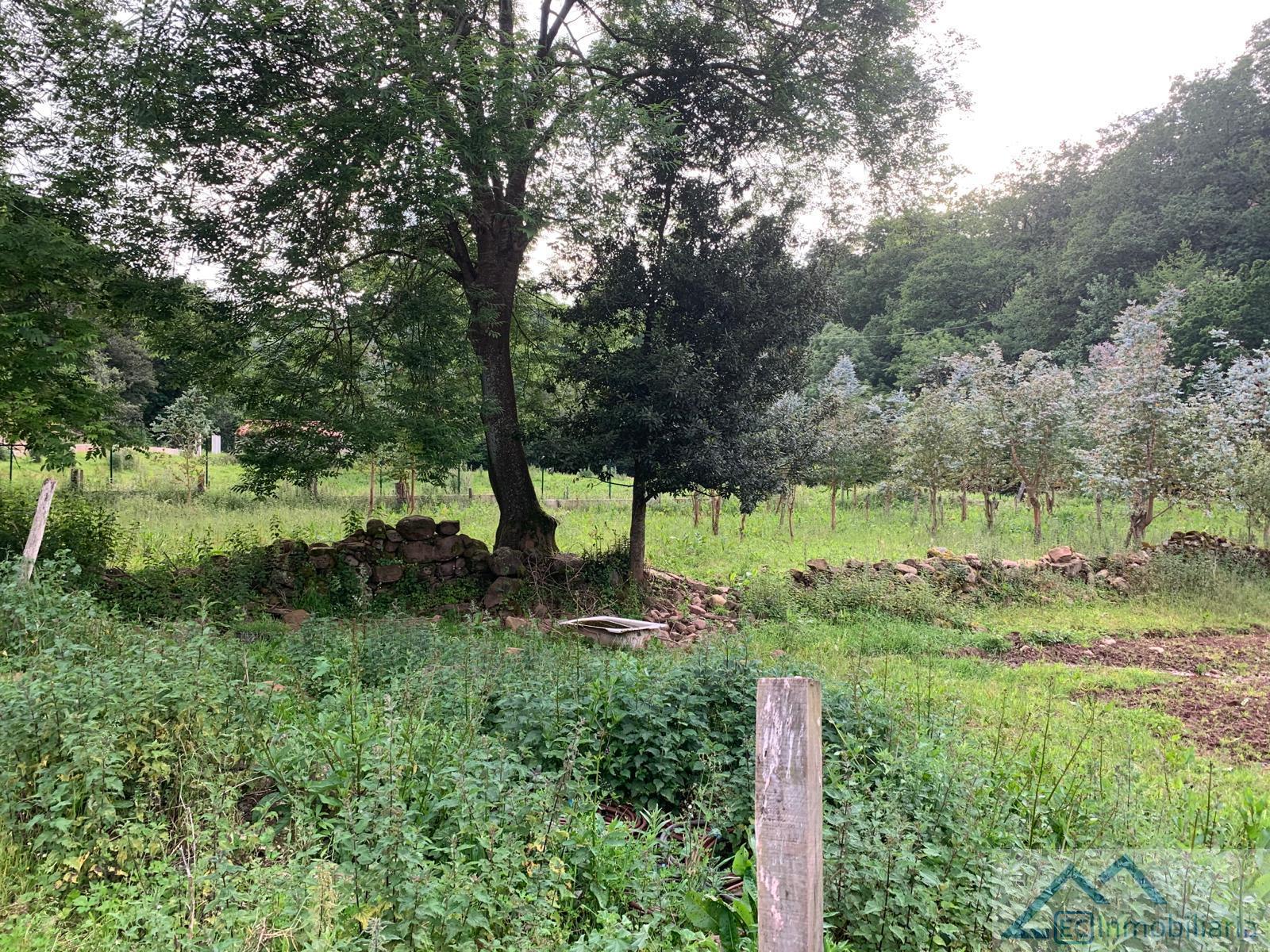 For sale of land in Liérganes