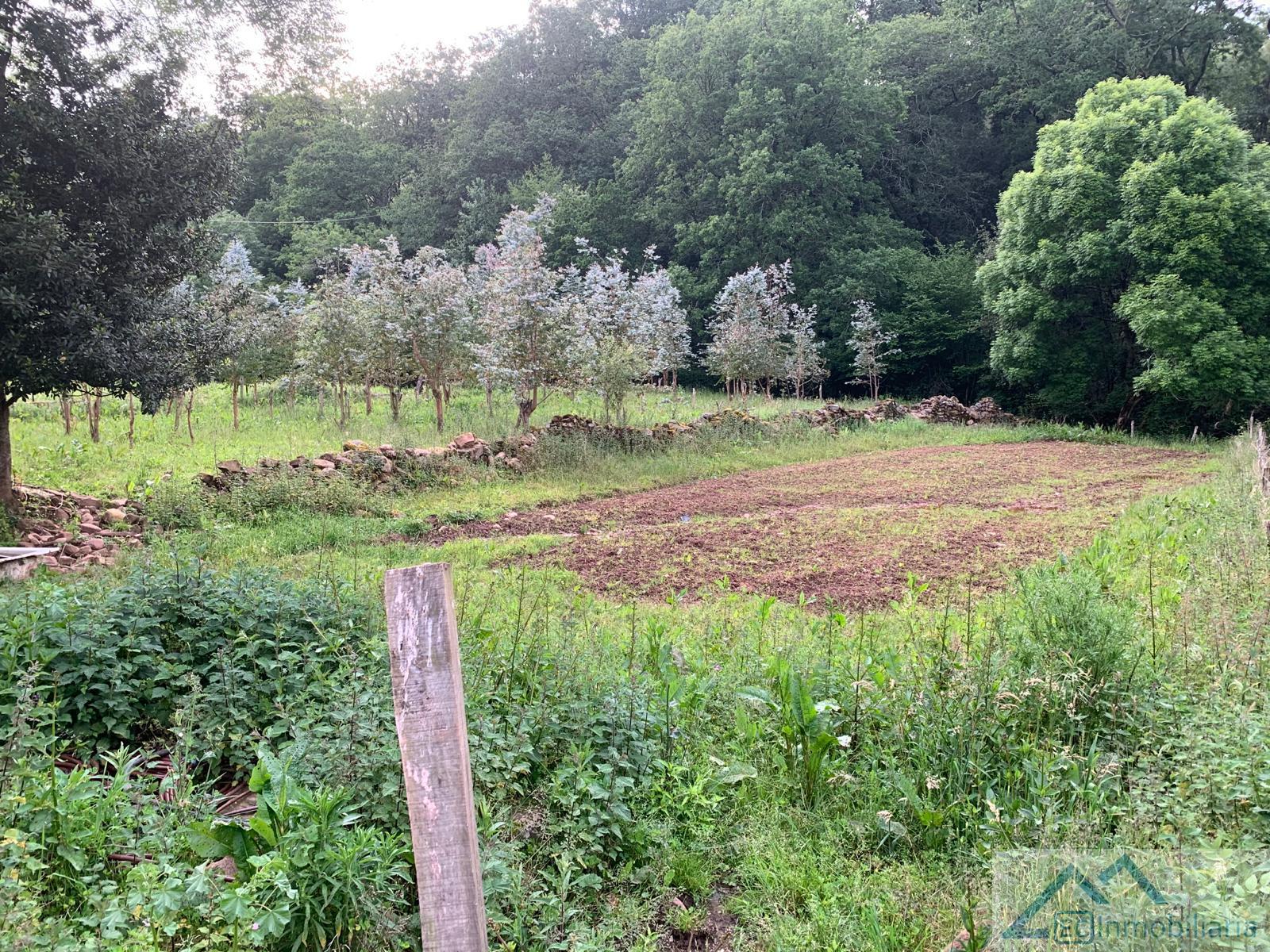 Venta de terreno en Liérganes