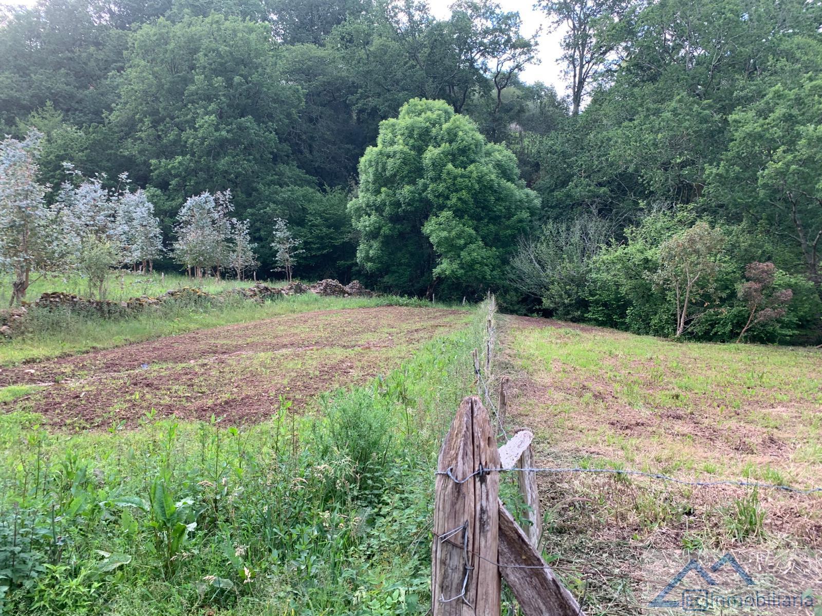 Venta de terreno en Liérganes