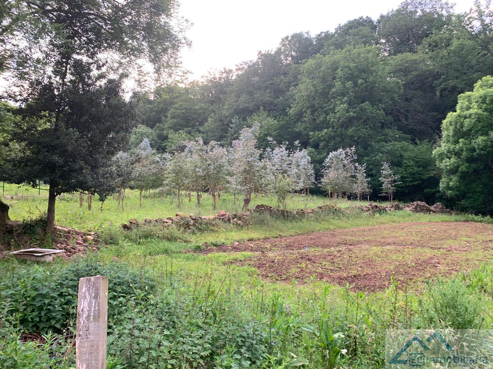 Venta de terreno en Liérganes