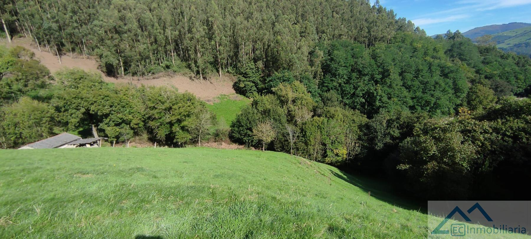 For sale of house in Santander