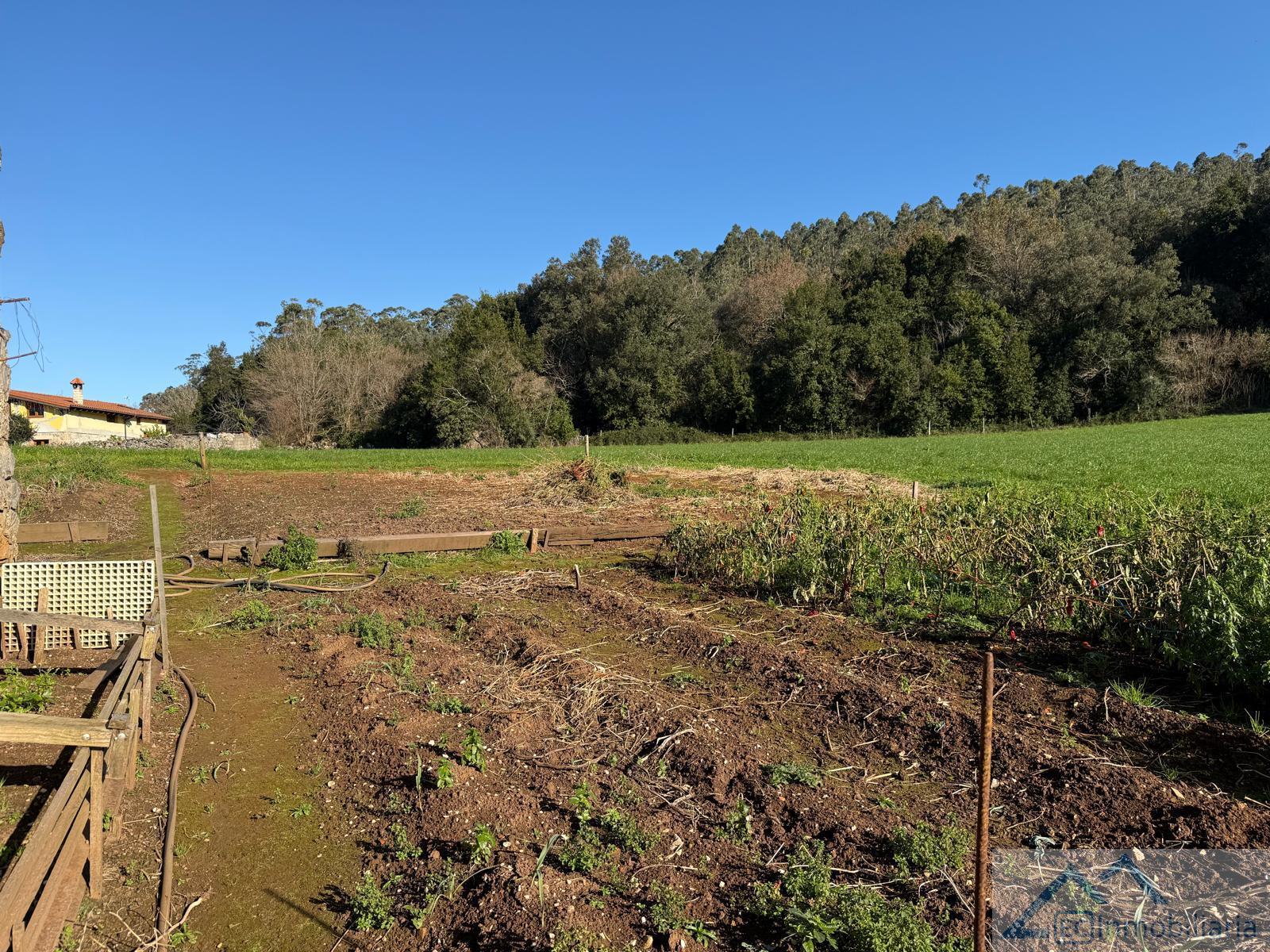 Venta de casa en Entrambasaguas Venta de casa en Entrambasaguas