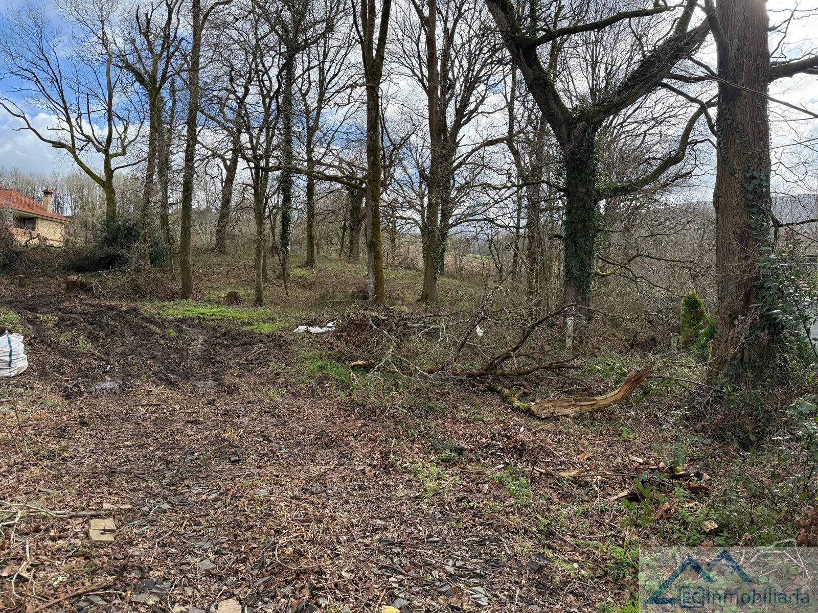 For sale of land in Riotuerto