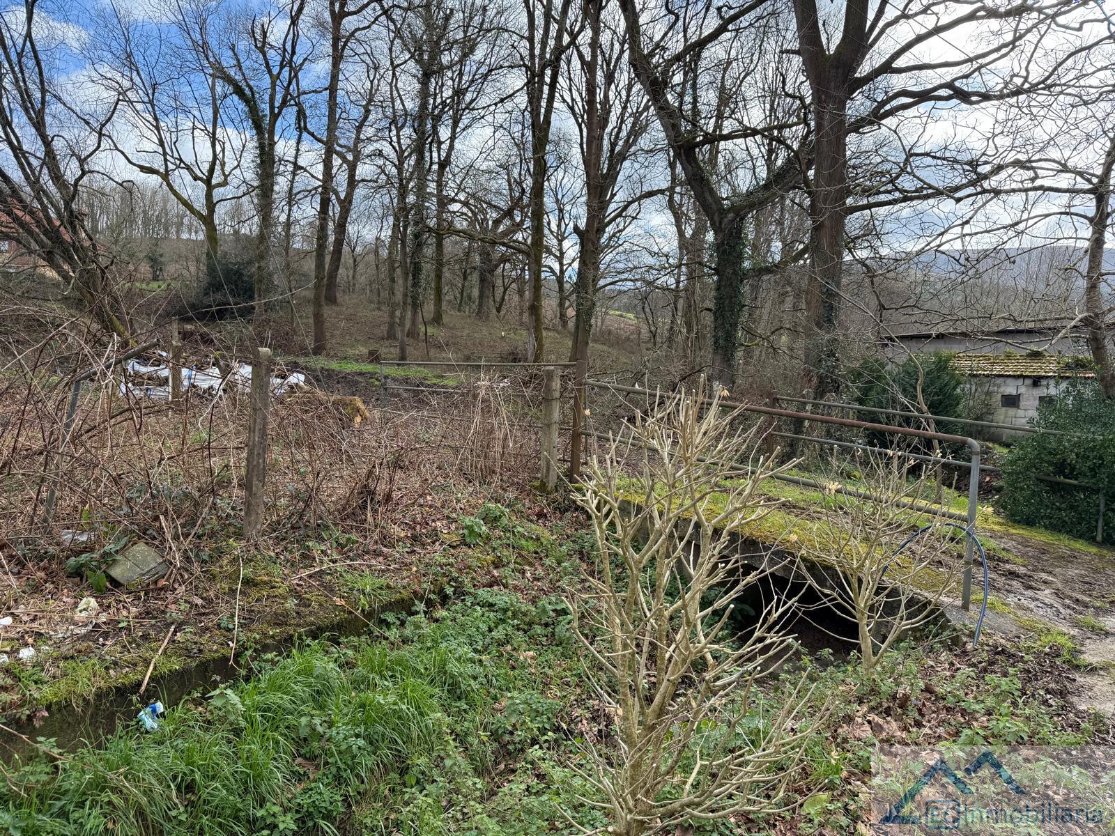 For sale of land in Riotuerto
