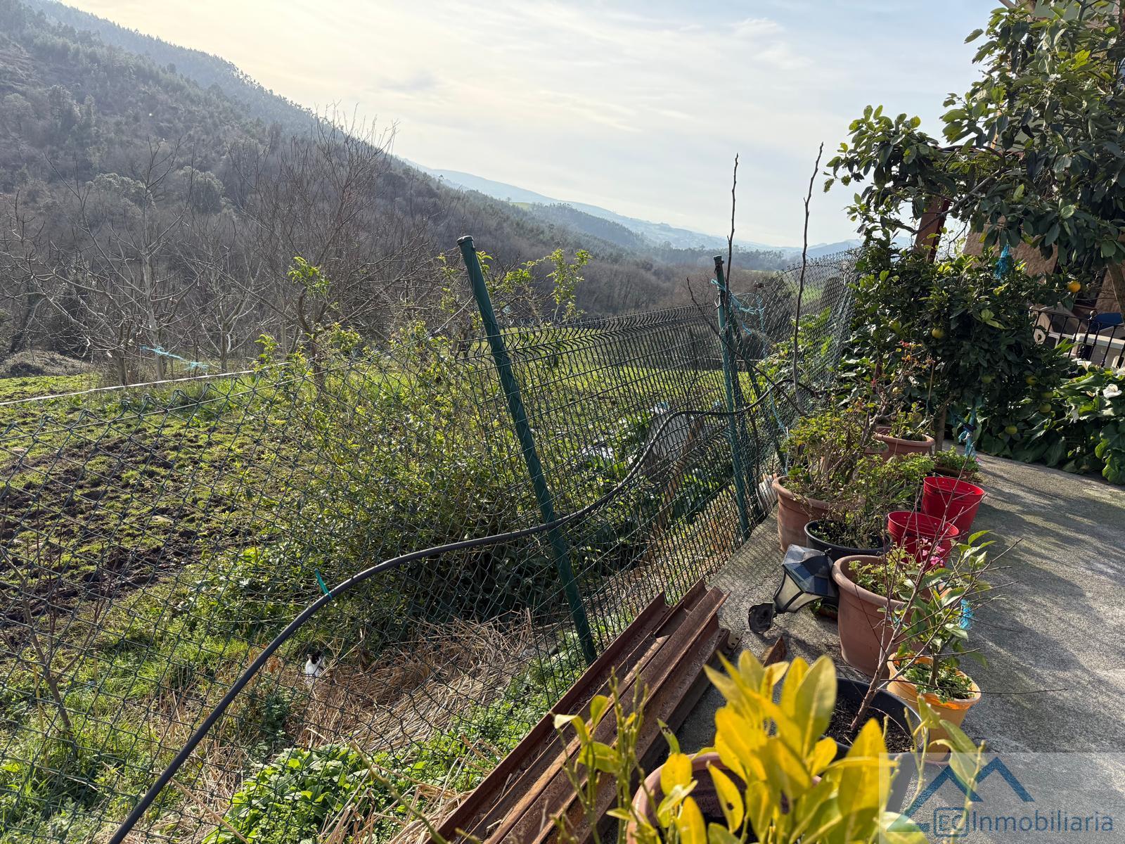 Jardín