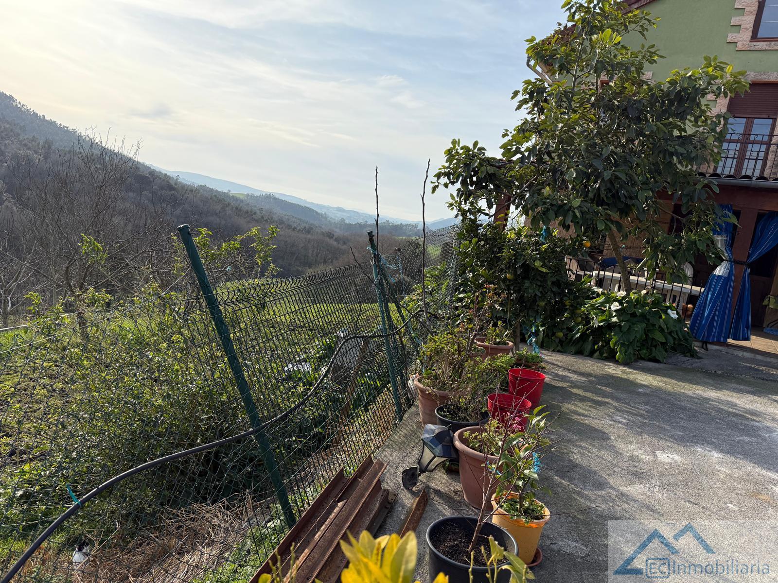Jardín