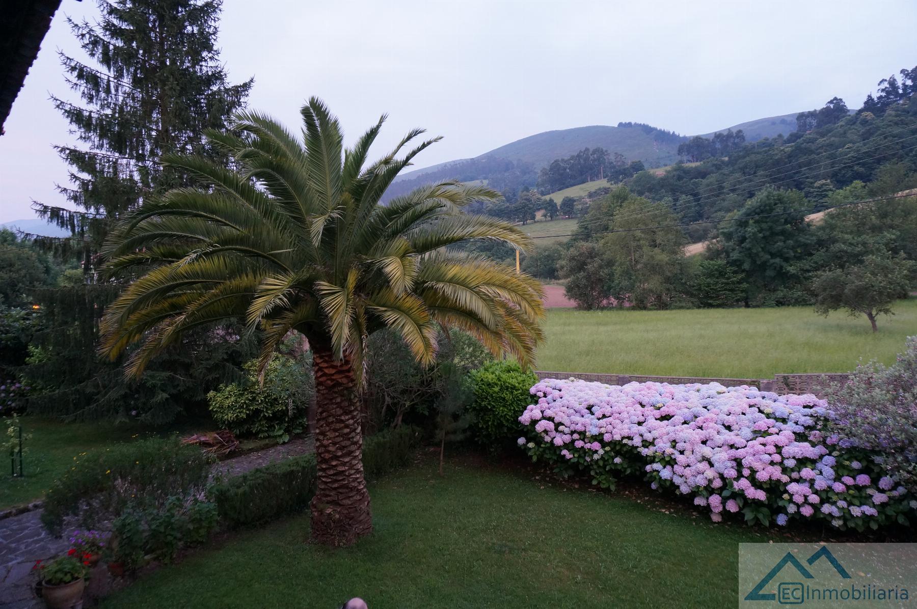 Jardín