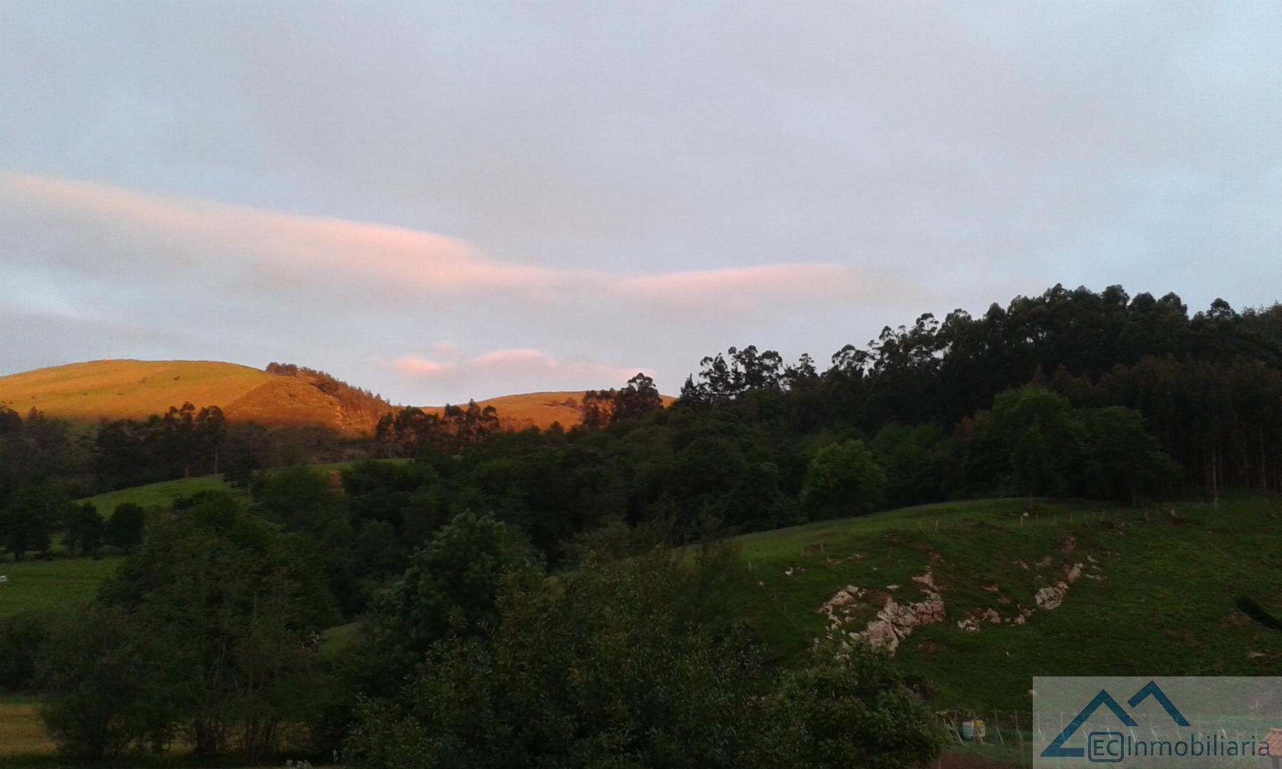 Jardín