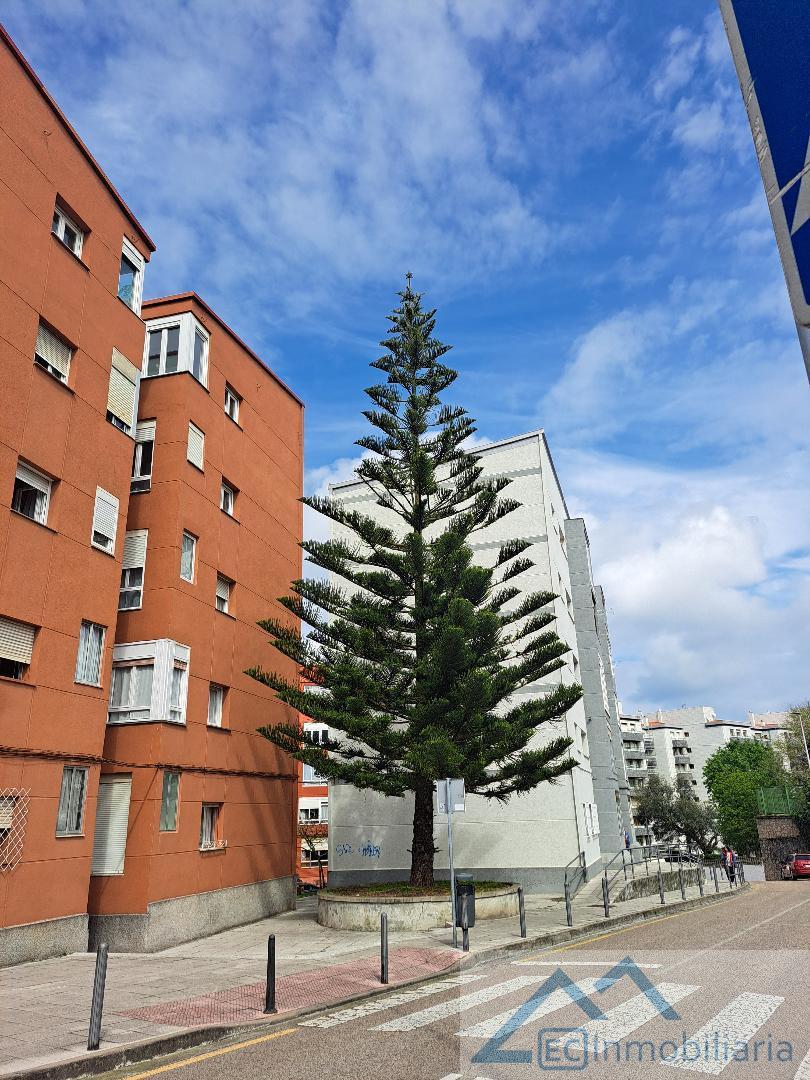 Surroundings