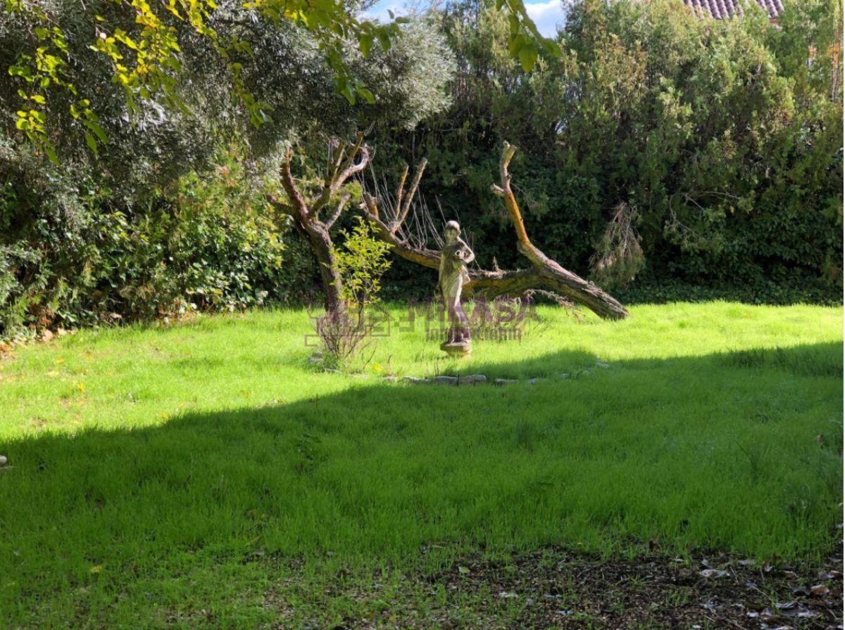 Terreno Terreno