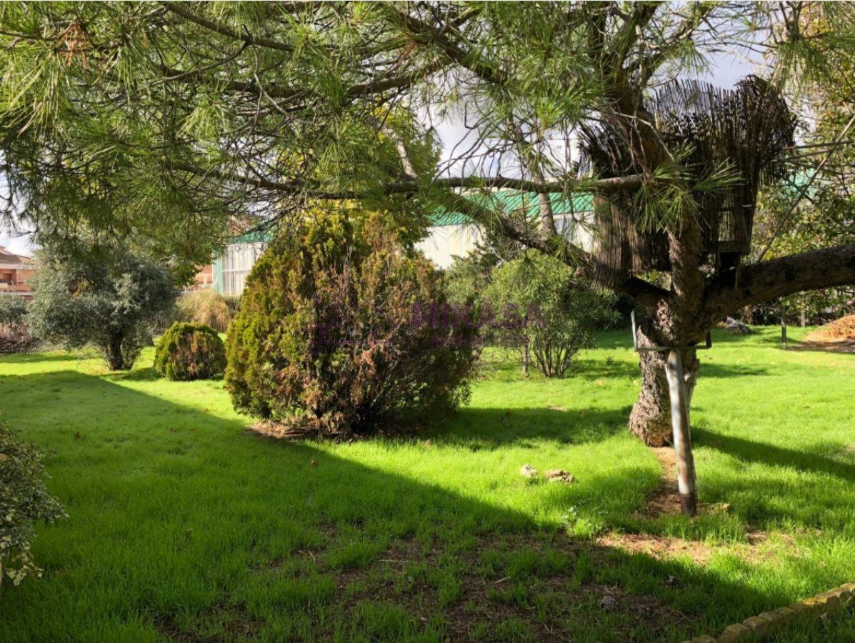 Jardín Jardín