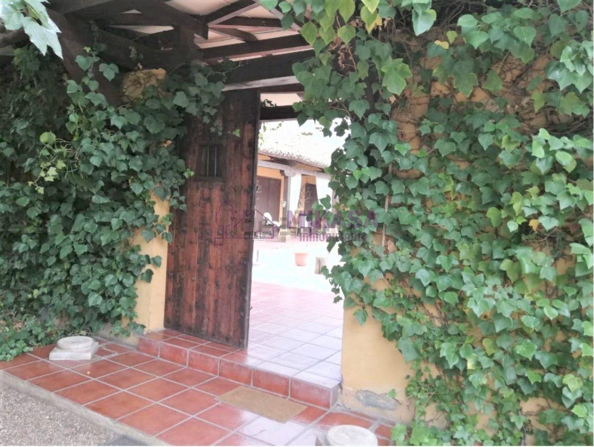 Entrada/Salida Entrada/Salida