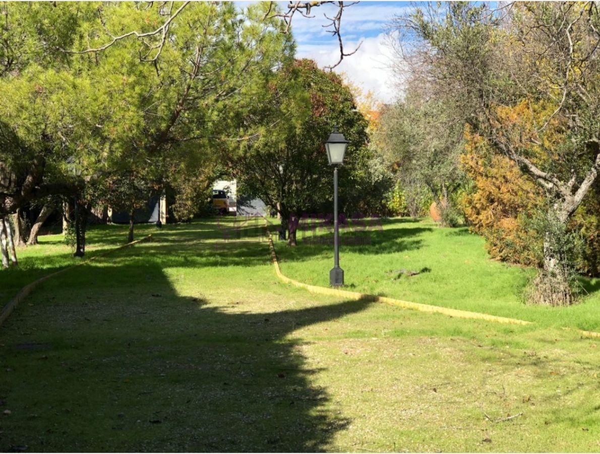 Jardín Jardín