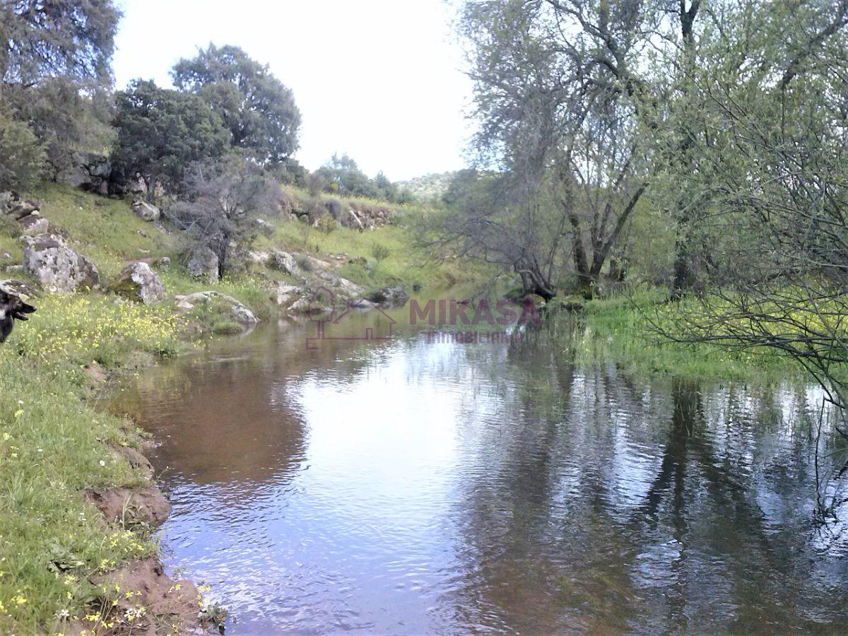 Surroundings