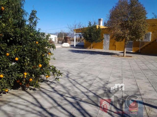 For sale of house in Lorca