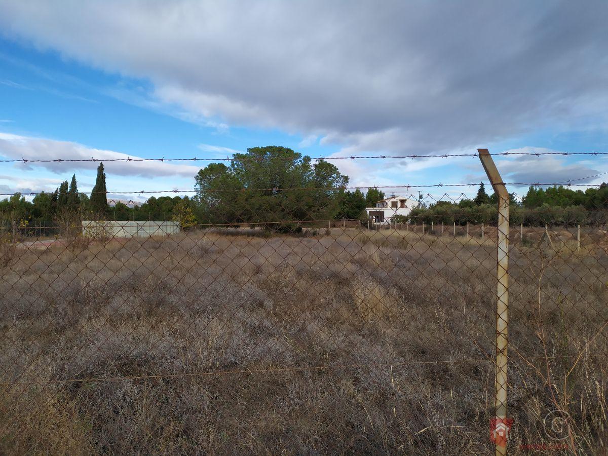 For sale of land in Lorca