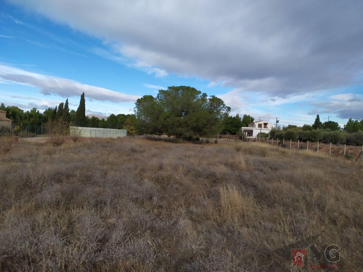 For sale of land in Lorca