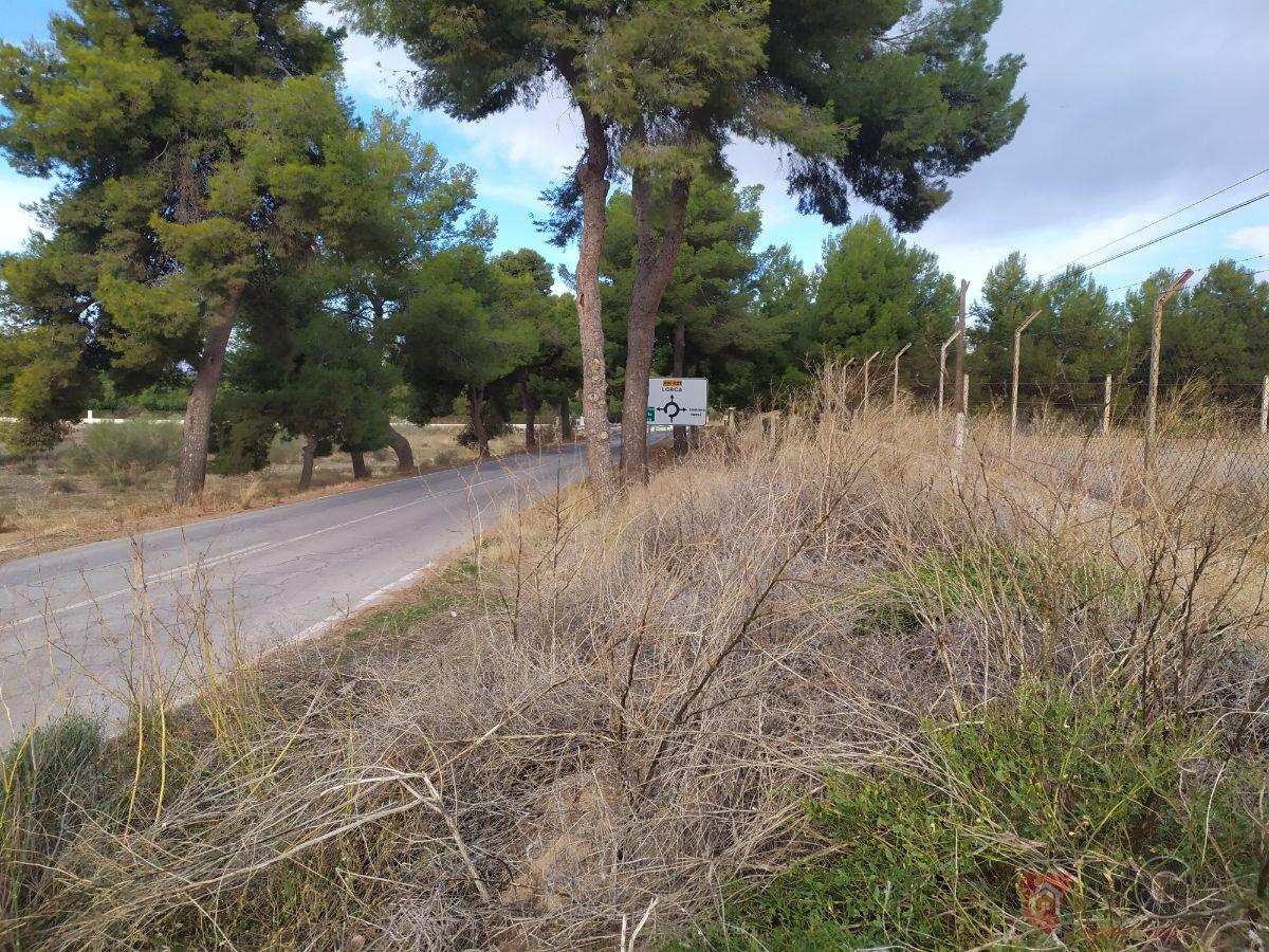 For sale of land in Lorca