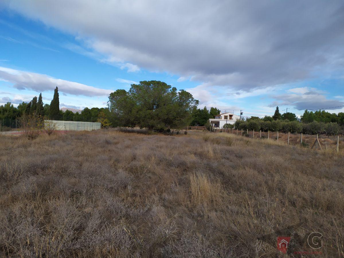 For sale of land in Lorca