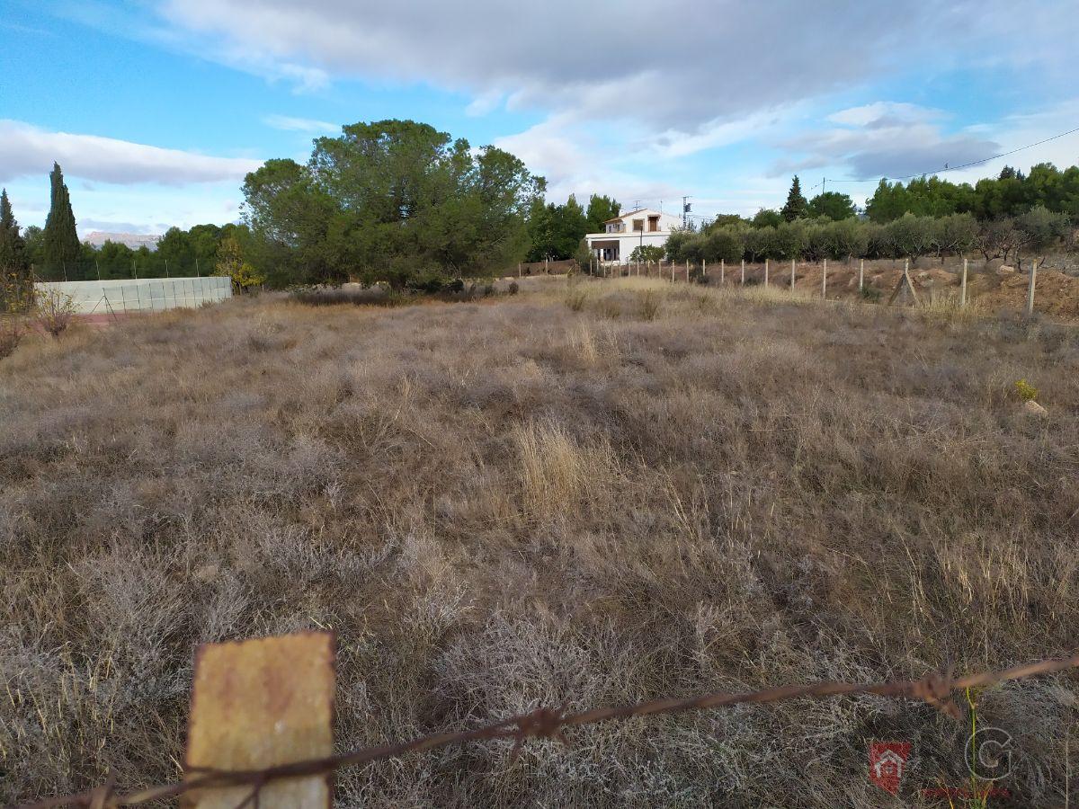 For sale of land in Lorca