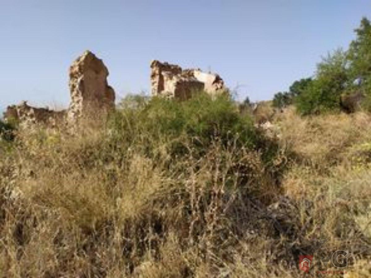 For sale of land in Lorca