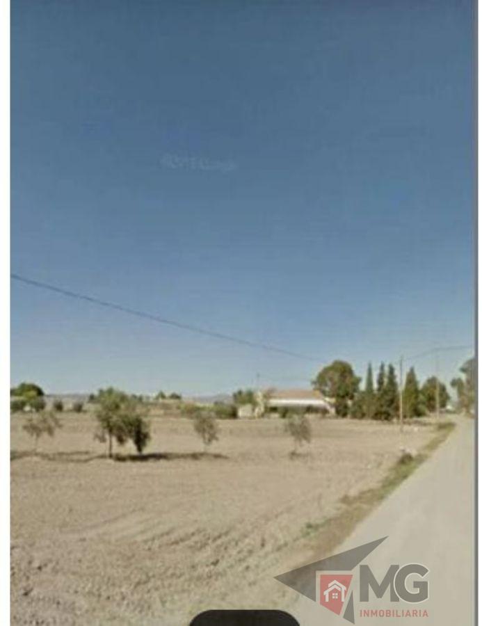 For sale of house in Lorca