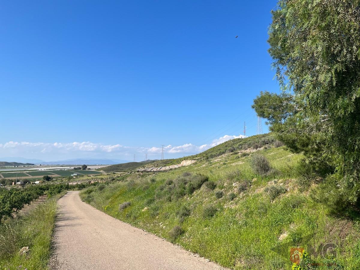 Venta de terreno en Lorca