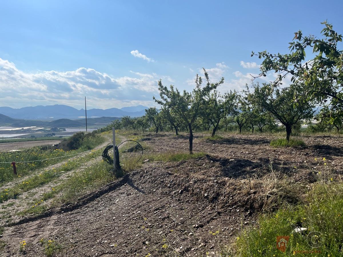 Venta de terreno en Lorca