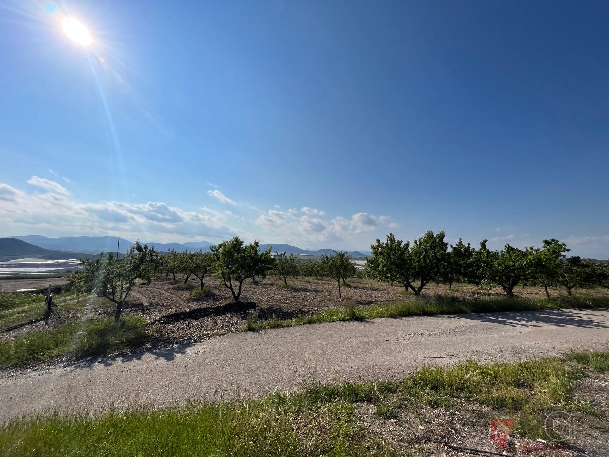 Venta de terreno en Lorca