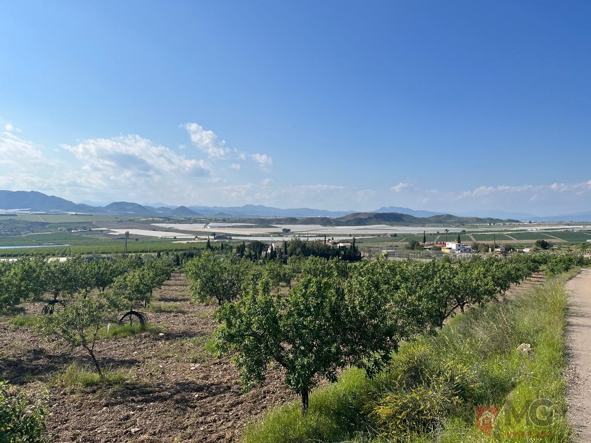 For sale of land in Lorca