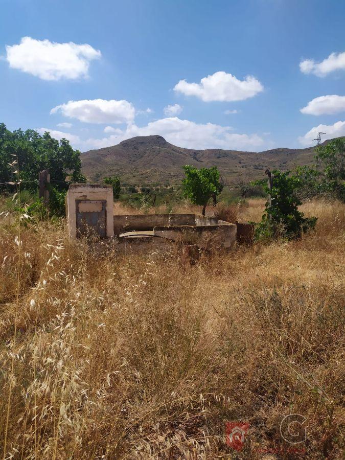 For sale of rural property in Huércal-Overa