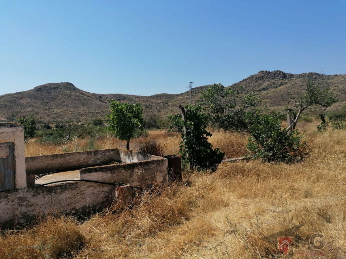 Venta de finca rústica en Huércal-Overa